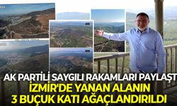 AK Partili saygılı rakamları paylaştı: İzmir'de yanan alanın 3 buçuk katı ağaçlandırıldı