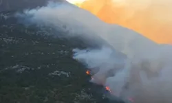 SON DAKİKA Antalya Kaş'ta korkutan yangın! Havadan ve karadan müdahale devam ediyor!