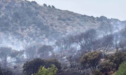 Bodrum'da makilik alanda yangın paniği! Havadan ve karadan müdahaleyle kontrol altına alındı