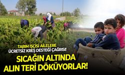 Sıcağın altında alın teri döküyorlar! Tarım işçisi ailelere ücretsiz kreş desteği çağrısı!