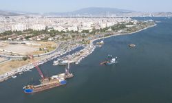 Balıkçılar gözlerine inanamadı! İzmir Körfezi'nde 25 yıl sonra yeniden ortaya çıktı