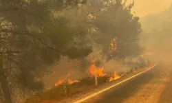 SON DAKİKA Balıkesir Gömeç'teki yangında 2 tutuklama! Çıkış nedeni belli oldu!