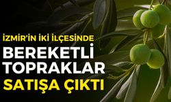 İzmir’de iki ilçede bereketli topraklar satışa çıktı: Zeytinlik, tarla ve arsalar ihalede