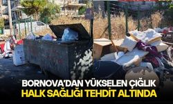 38 yıllık belediyeciden Bornova Belediyesi'ne çöp isyanı: Bu sokağı böyle görmek içimi acıtıyor