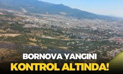 Bornova'daki orman yangını kontrol altına alındı! Bölgede soğutma çalışmaları devam ediyor