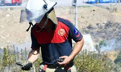 İzmir'deki orman yangınında umutlandıran kurtarma! Bitkin halde bulunan bukalemun yeniden doğaya bırakıldı