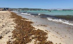 Çeşme Ilıca Plajı'nda kirlilik tepkisi: Tatilciler hayal kırıklığına uğradı!