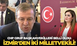 CHP Grup Başkanvekilleri belli oldu: İzmir'den iki milletvekili!