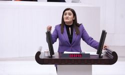 CHP'li Kılıç'tan Meclis'te PTT isyanı: "Kamu emekçisinin geleceği piyasa mantığıyla şekillendirilemez"