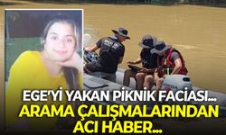 Ege’yi yakan piknik faciası: İzmir'den ekipler de devreye girmişti! Arama çalışmalarından acı haber...
