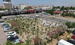 Gaziler Caddesi’ne yeni nefes: İzmir Kemer’in "Mikro Ormanı" hazır!