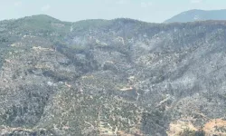 Fethiye'deki orman yangını kontrol altına alındı: Yüreği yakan manzara böyle görüntülendi!