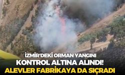 İzmir'deki orman yangını kontrol altına alındı! Alevler fabrikaya da sıçradı
