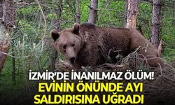 İzmir Seferhisar'da inanılmaz ölüm! Evinin önünde ayı saldırısına uğradı