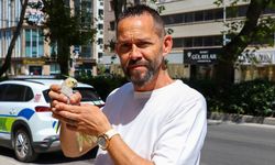 İzmir'de gören bir daha dönüp bakıyor! Şemsiyeli papağana yoğun ilgi