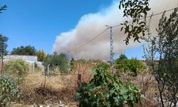 İzmir’in sınırında yangın alarmı! O ilçelerden duman göründü