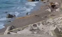 Karadeniz kıyısında İHA alarmı! Menşei teknik incelemeyle belirlenecek