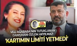Veli Ağababa'nın tutuklanan danışmanı Özlem Akyılmaz: 'Kartımın limiti yetmedi'