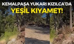 Kemalpaşa Yukarı Kızılca’da yeşil kıyamet! Vatandaş isyan etti: Ağaçlarımızı kesiyorlar!