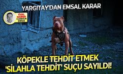 Yargıtay'dan Emsal Karar: Köpekle tehdit etmek 'silahla tehdit' suçu sayıldı!