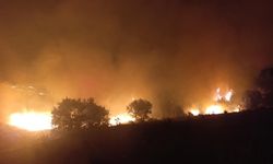 İzmir-Ankara D-300 Karayolu'nda Korkutan yangın: 400 dönüm alan kül oldu