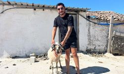 Çeşme'de alkollü kazanın bedeli ağır oldu: Ehliyetine kavuşunca kurban kesti