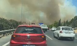 Manisa'daki yangında son durum: İzmir-İstanbul Otoyolu'na ulaştı!