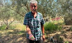 Menemen Belediyesi Ayvacık köyünün 100 yıllık su hasretini bitirdi!