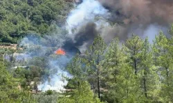Muğla yangın son dakika: Muğla'da yangın nerede başladı, son durum nedir?