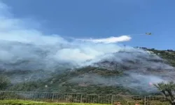 Narlıdere'deki orman yangını kontrol altında!