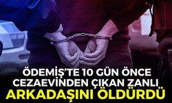 Ödemiş'te kanlı kavga! 10 gün önce cezaevinden çıkan zanlı arkadaşını öldürdü