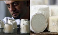 Dünyanın En Pahalı Peyniri Hangi Sütten Yapılıyor? Sırrını Duyanlar Şaşkına Dönüyor!