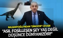 Nalbantoğlu’ndan "Dinozor" resti: "Asıl fosilleşen şey yaş değil, düşünce dünyanızdır!"
