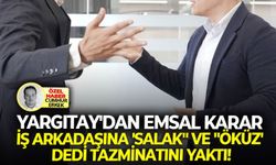 Yargıtay'dan emsal karar: İş arkadaşına 'salak" ve "öküz' dedi tazminatını yaktı!