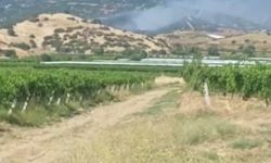 Manisa'da orman yangını! Ekipler karadan ve havadan müdahale ediyor!