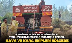 Yeşilüzümlü alevlerle mücadele ediyor: Hava ve kara ekipleri bölgede