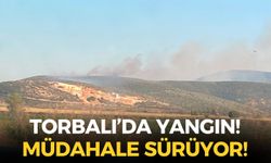 SON DAKİKA İzmir Torbalı'da yangın: Havadan ve karadan müdahale sürüyor!