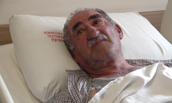 İzmir'den memleketine tatile gitti, ayı saldırısına uğradı!