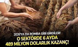 2026'ya da bomba gibi girdiler: O sektörde 6 ayda 489 milyon dolarlık kazanç!