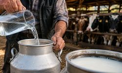 Aldığınız süt gerçekten doğal mı, su katkısı var mı? Evde birkaç dakikada hilesi anlaşılıyor