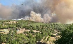 Alevlerle Mücadelede yüreklere su serpen gelişme: Çine, Buca ve Susurluk kontrol altında
