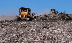 Aliağa-Foça yangın bölgesi yeniden yeşeriyor: 1 milyon fidan toprakla buluşacak