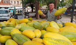 Bal gibi tadı tavan arasından çıktı! Manisa'dan İzmir'e uzanan eşsiz Altınbaş Kavunu hikayesi