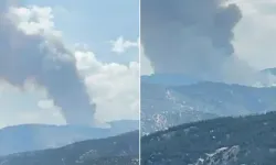 Aydın'da orman yangını: Ekipler havadan ve karadan seferber oldu!