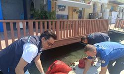 İzmir’de yasa dışı kara midye avına operasyon: 560 kilo midyeye el konuldu