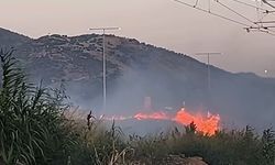 Bayındır çevre yolunda yangın paniği: Ekipler seferber oldu