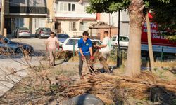 Buca Parkları daha güvenli: Yıpranan ekipmanlar onarıldı, yeşil alanlar elden geçti