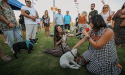 Çeşme’de yeni park hizmete açıldı! Can dostlar sıcak yuvasına kavuştu