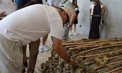 İzmir, 17 ülkeden tütün uzmanlarını ağırladı: CORESTA'nın 65. Zirai Kimyasal Analiz Toplantısı tamamlandı