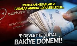 Unutulan hesaplar ve paralar anında görülebilecek: 'e-devlet’te dijital bakiye dönemi: